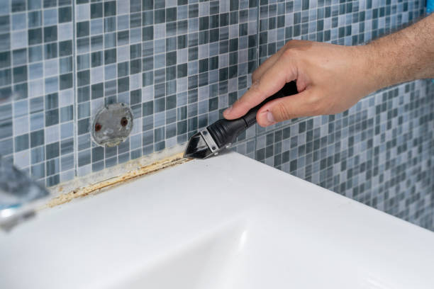 Home Mold Removal in Talahi Island, GA